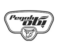 pegah-logo